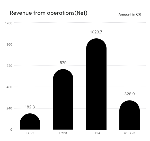 Navi Finserv Revenue