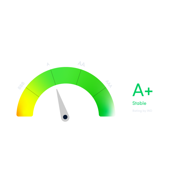 Dishman Carbogen Amics Credit Rating